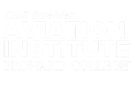 Aviation Institute